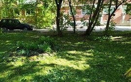 Покос травы на придомовых территориях Покос травы на придомовых территориях