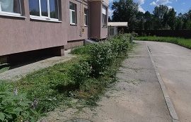 Покос травы на придомовых территориях