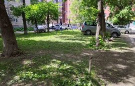 Покос травы на придомовых территориях Покос травы на придомовых территориях