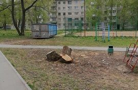 Уборка мусора на придомовой территории по адресу ул. Солдатова, 36