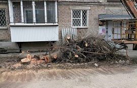 Спил дерева на придомовой территории по адресу ул. Снайперов, 15