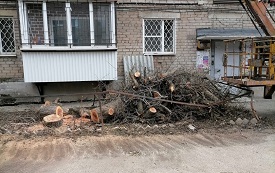 Спил дерева на придомовой территории по адресу ул. Снайперов, 15