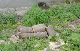 Распил и уборка деревьев на придомовых территориях