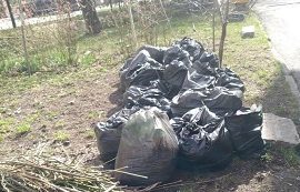 Вывоз мусора с придомовой территории по адресу ул. Тимирязева, 54