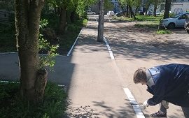 Покраска бордюров на придомовых территориях