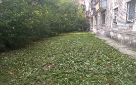 Покос травы на придомовых территориях Покос травы на придомовых территориях