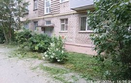 Покос травы на придомовых территориях