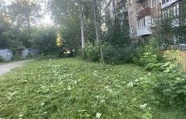 Покос травы на придомовых территориях