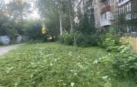 Покос травы на придомовых территориях